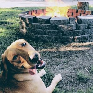 Meet your Posher, Madi